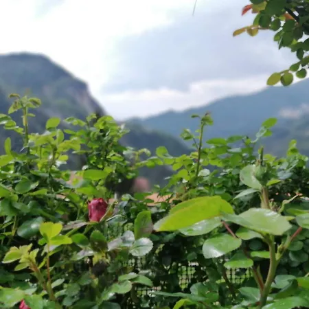 Il Metato Di Gallena Bed & Breakfast Stazzema